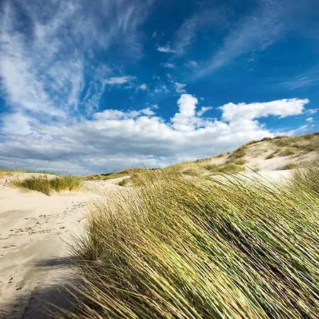 Lägenhet Appartementhaus Bracht - Heuler Juist